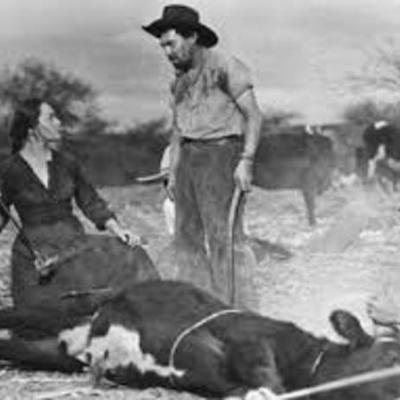 Timeline: CHILLI WESTERN