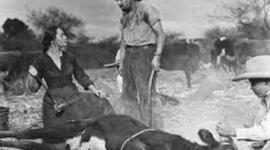 Timeline: CHILLI WESTERN