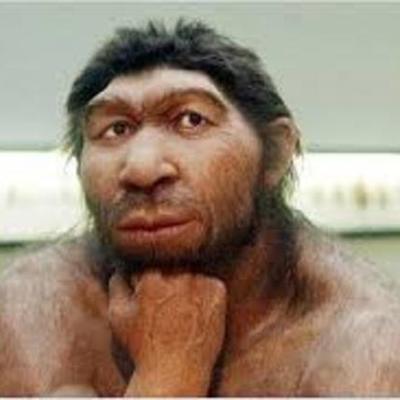 Timeline: Эволюция человека