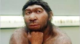 Timeline: Эволюция человека