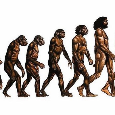 Timeline: Эволюция человека