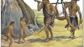 Timeline: Эволюция человека