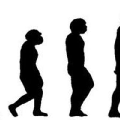 Timeline: эволюция человека