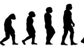 Timeline: эволюция человека