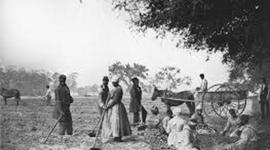 Timeline: Antebellum Period: Slavery