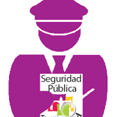 Timeline: ORIGEN, EVOLUCIÓN Y NACIMIENTO DE LA SEGURIDAD PÚBLICA