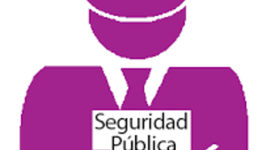 Timeline: ORIGEN, EVOLUCIÓN Y NACIMIENTO DE LA SEGURIDAD PÚBLICA