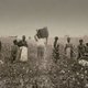 Slaves in cotton
