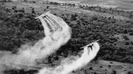 Timeline: Agent Orange