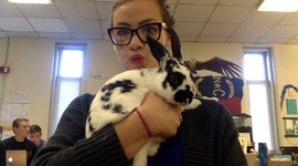 Timeline: Jenna's Timeline