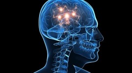 Timeline: Neuropsicología