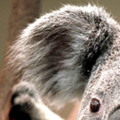 Timeline: Eestlaste muistne vabadusvõitlus