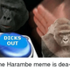 Dicks out the harambe meme is dea 3185707