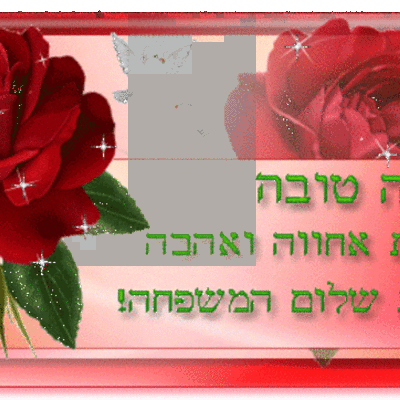 Timeline: noarozenblat