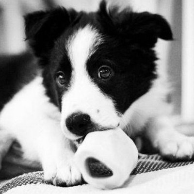 Timeline: War of 1812