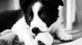 Timeline: War of 1812