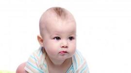 Timeline: Fases del Desarrollo del Habla y del Lenguaje de un bebé de 12 meses observadas en el vídeo.