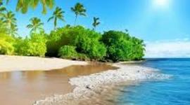 Timeline: nacimiento de lucy