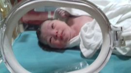 Timeline: Haylee Marie Gallardo