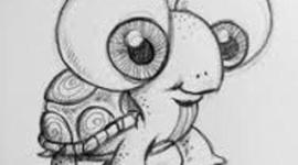 Timeline: annes favorite