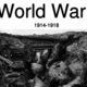 300px wwipic1.jpg