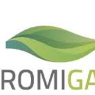 Timeline: Promigas S.A