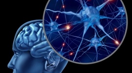 Timeline: Desarrollo de la Neuropsicología