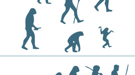 Timeline: El Origen del Hombre