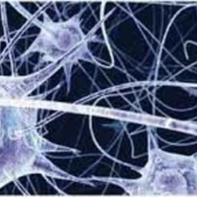 Timeline: acontecimientos sobre la ciencia