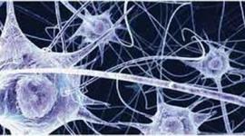 Timeline: acontecimientos sobre la ciencia