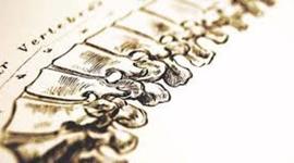 Timeline: Cronología de la Quiropráctica