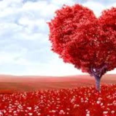 Timeline: nacimiento de gaby  20/10/2000