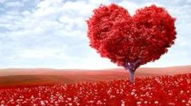 Timeline: nacimiento de gaby  20/10/2000