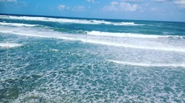 Timeline: ציר זמן אישי - מדעי הרוח