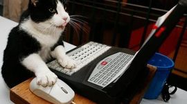 Timeline: TECNOLOGÍAS DE LA INFORMACIÓN Y LA COMUNICACIÓN