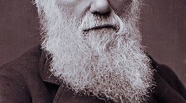 Timeline: Charles Darwin