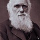 Charles darwin photograph by herbert rose barraud  1881