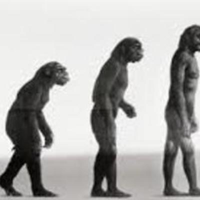 Timeline: HOMINIZACIÓN
