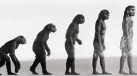 Timeline: HOMINIZACIÓN