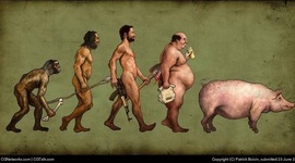 Timeline: Hominización