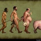 Evolucion del hombre