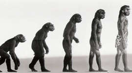 Timeline: Hominización en la Peninsula Ibérica