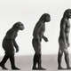 Evolucionhumanos