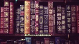 Timeline: Todas las fases del Proyecto 2: "Mucho que decir".