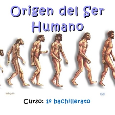 Timeline: Evolución de los homínidos.
