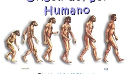 Timeline: Evolución de los homínidos.