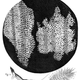 300px cork micrographia hooke