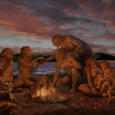 Timeline: Hominización