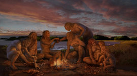 Timeline: Hominización