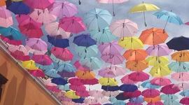 Timeline: RESPONSABILIDADES DEL ASESOR DEL BGAI